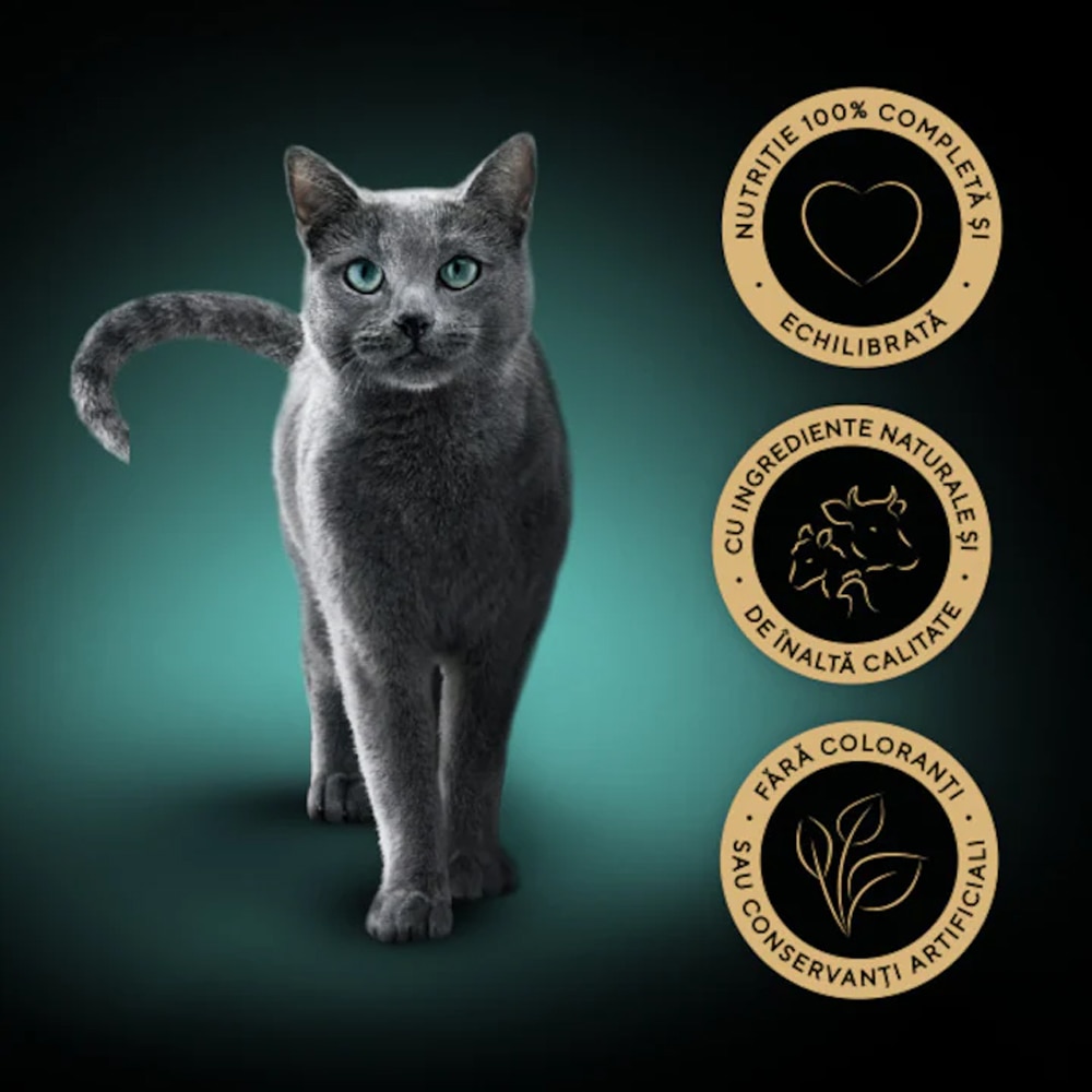 Hrana umeda pentru pisici SHEBA Select Slices, Adult, Pasare in sos, 72 x 85 g