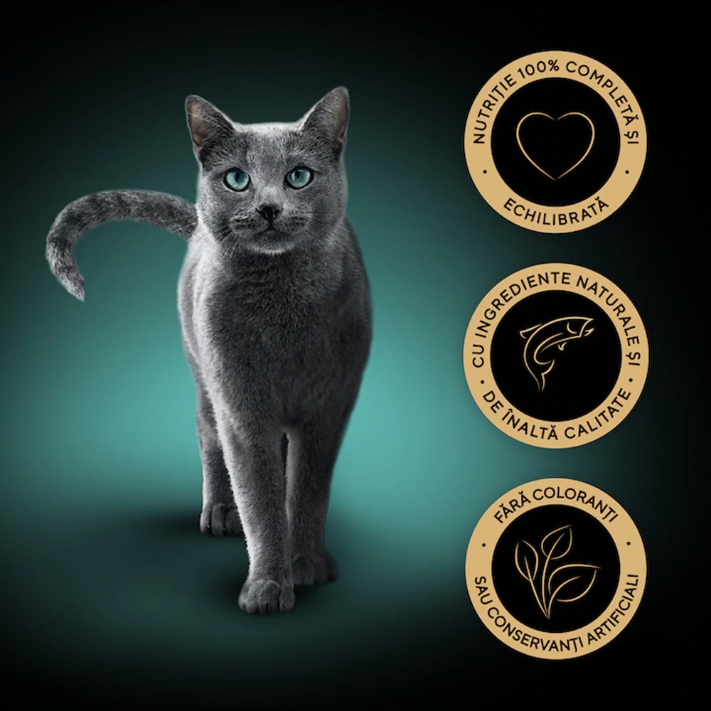 Hrana umeda pentru pisici SHEBA Select Slices, Adult, Somon in sos, 28 x 85 g