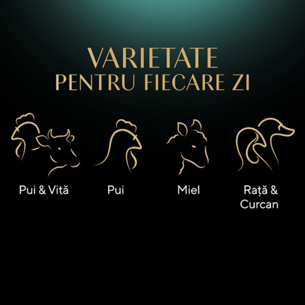 Hrana umeda pentru pisici SHEBA Select Slices, Adult, Mix in sos, 13 x 4 x 85 g