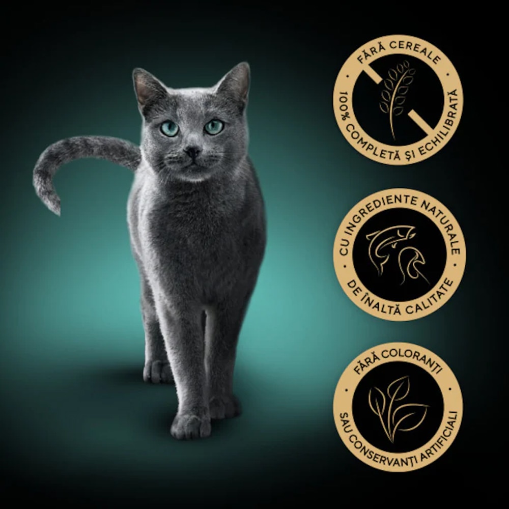 Hrana umeda pentru pisici SHEBA Delikatesse, Adult, Pasare in aspic, 13 x 4 x 85 g