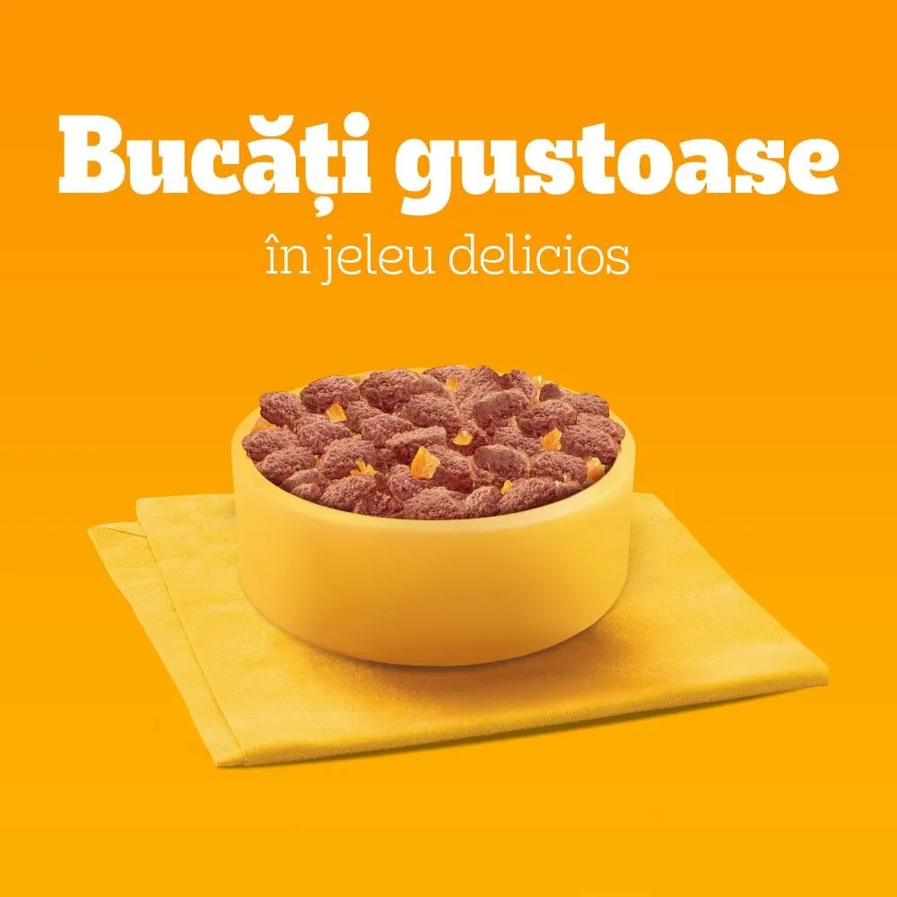 Hrana umeda pentru caini PEDIGREE, Senior, Mix in aspic, 13 x 4 x 100 g