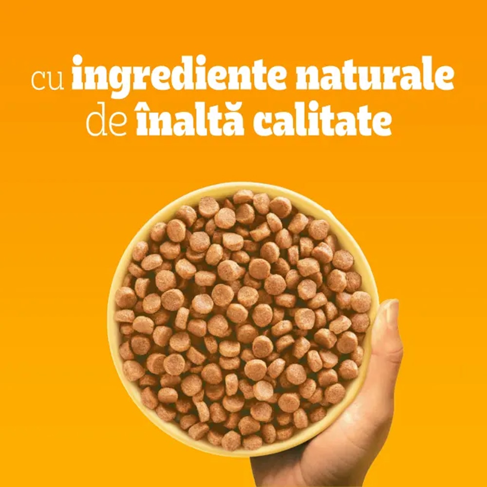 Hrana uscata pentru caini PEDIGREE, Adult, Pasare si legume, 10 kg