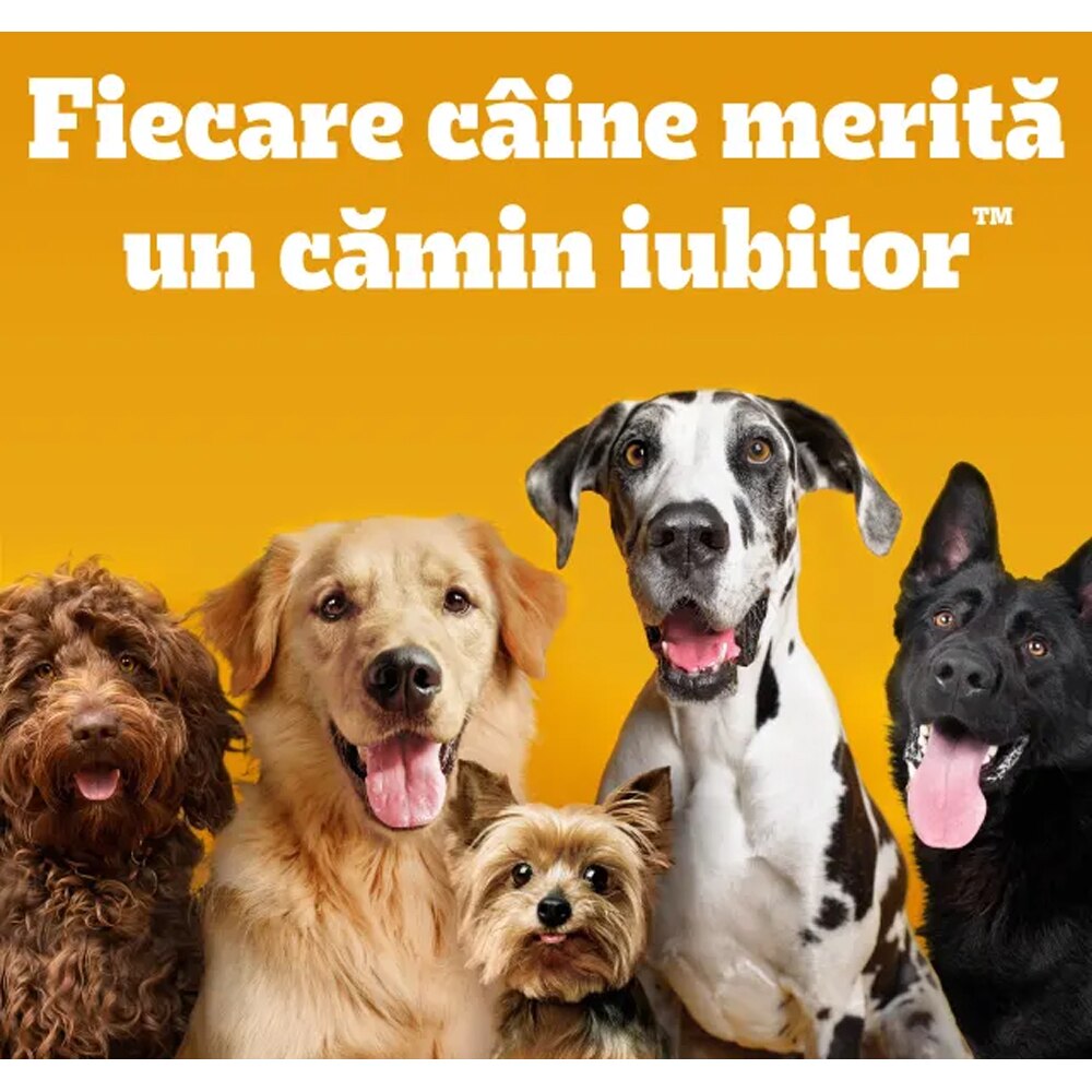 Hrana uscata pentru caini PEDIGREE, Adult, Pasare si legume, 10 kg