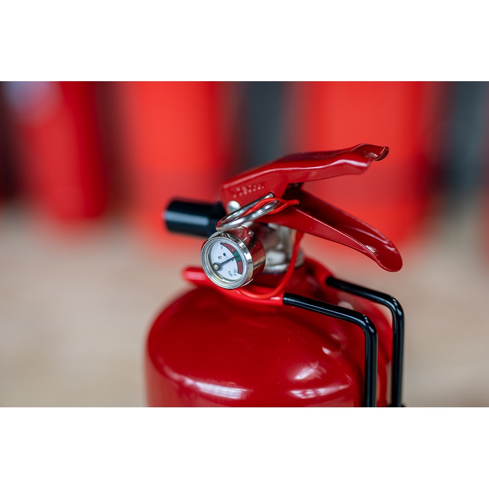 Stingator auto cu pulbere VICTORIA, ABC P1, 1kg