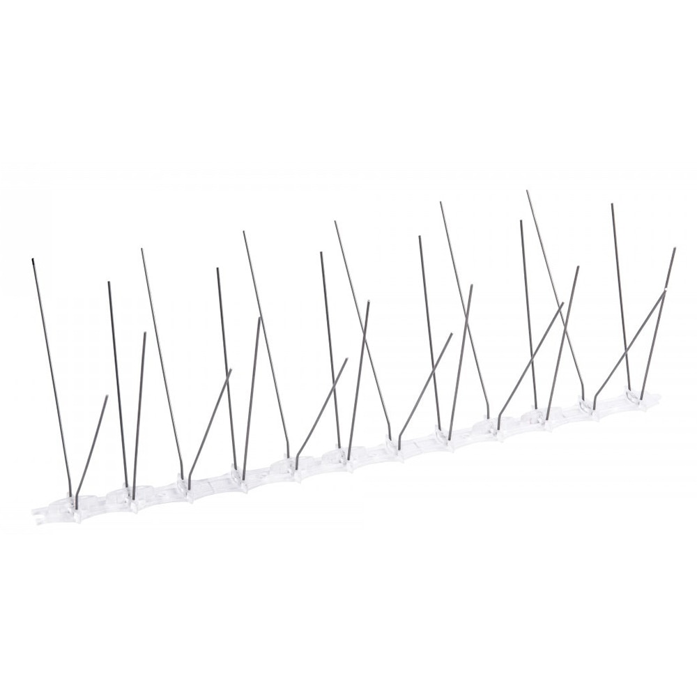 Banda antipasari, 50 cm, 40 tepi