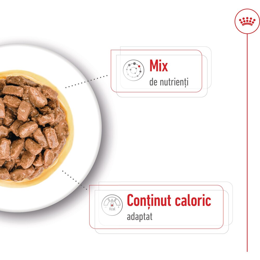 Hrana umeda pentru caini ROYAL CANIN SHN Mini Ageing, Senior, 85 g