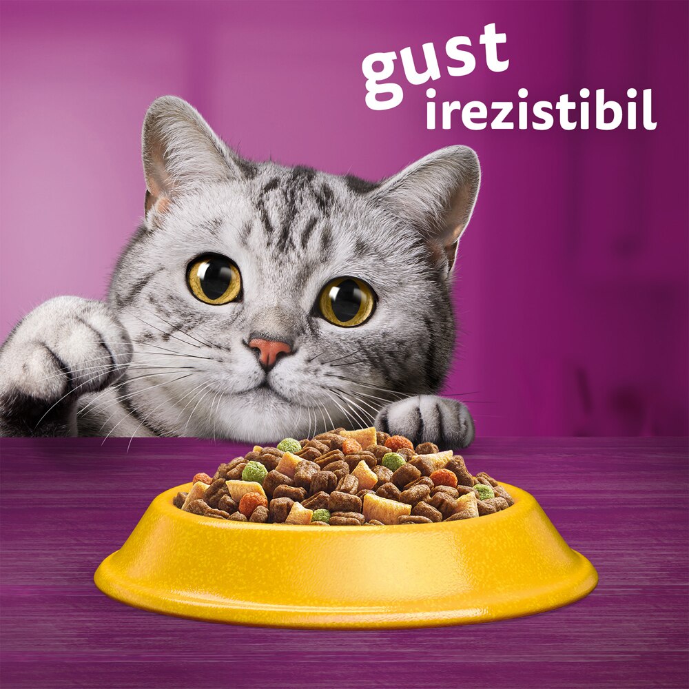 Hrana uscata pentru pisici WHISKAS, Sterile, Pui, 1.4 kg