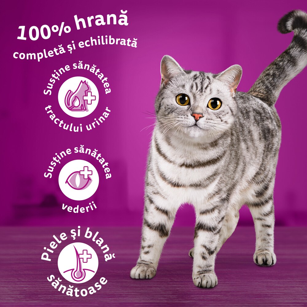Hrana uscata pentru pisici WHISKAS, Sterile, Pui, 14 kg