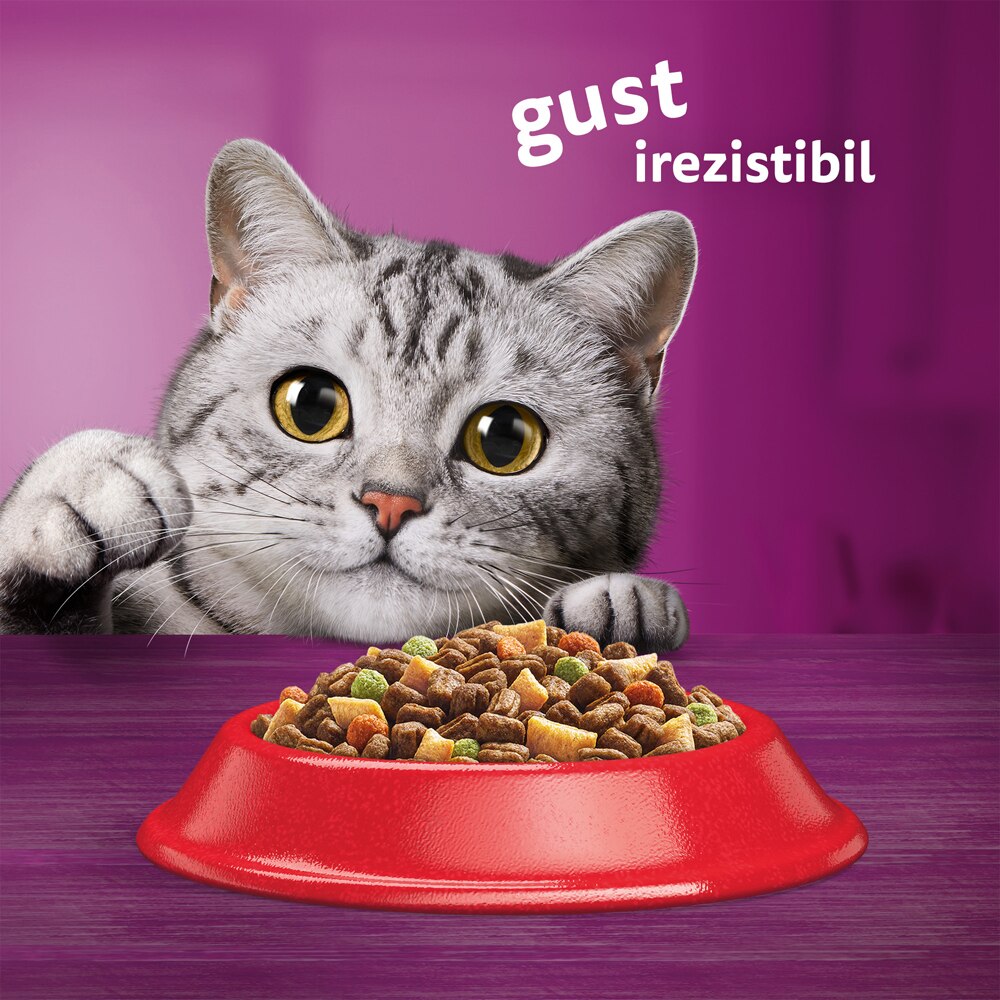 Hrana uscata pentru pisici WHISKAS, Adult, Vita, 1.4 kg