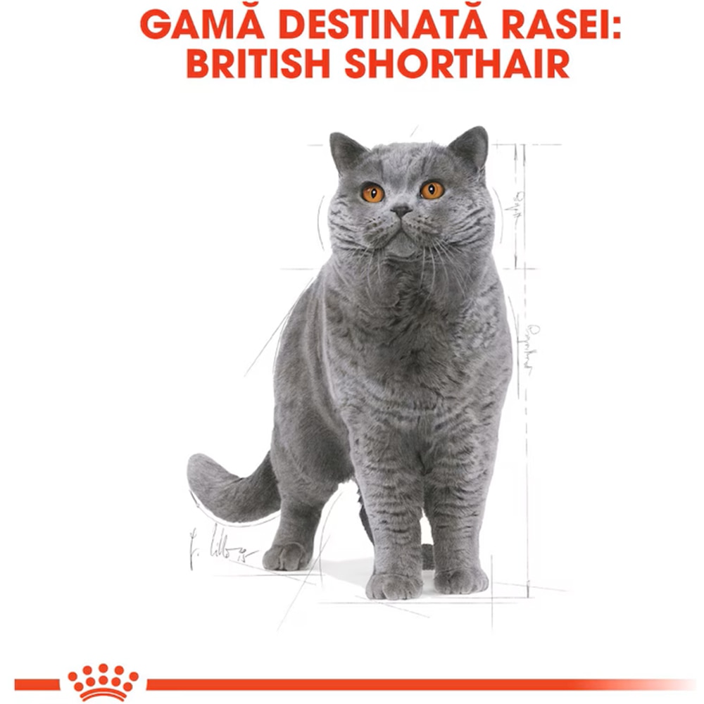 Hrana uscata pentru pisici ROYAL CANIN FBN British Sho, Adult, Pasare, 2 kg