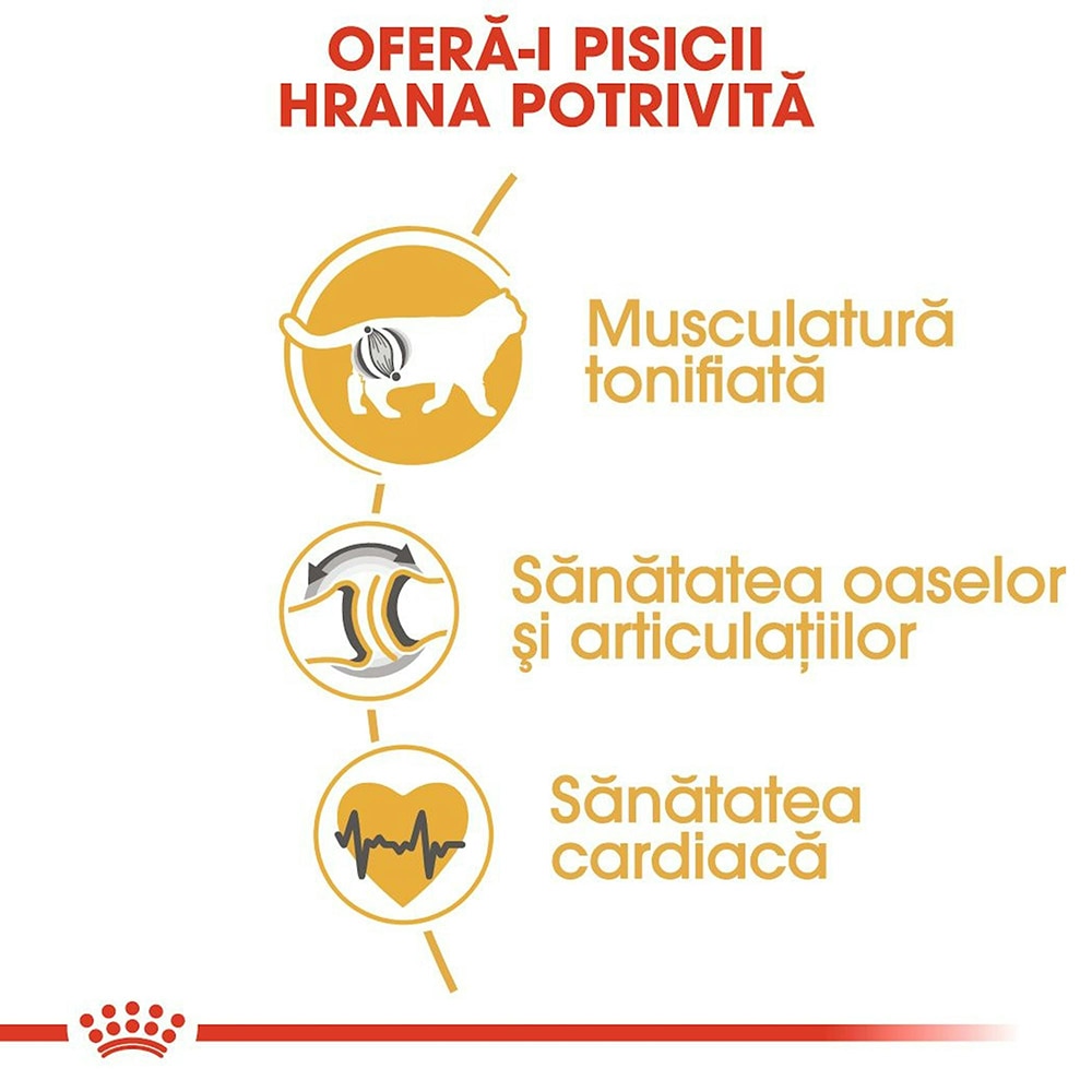 Hrana uscata pentru pisici ROYAL CANIN FBN British Sho, Adult, Pasare, 2 kg