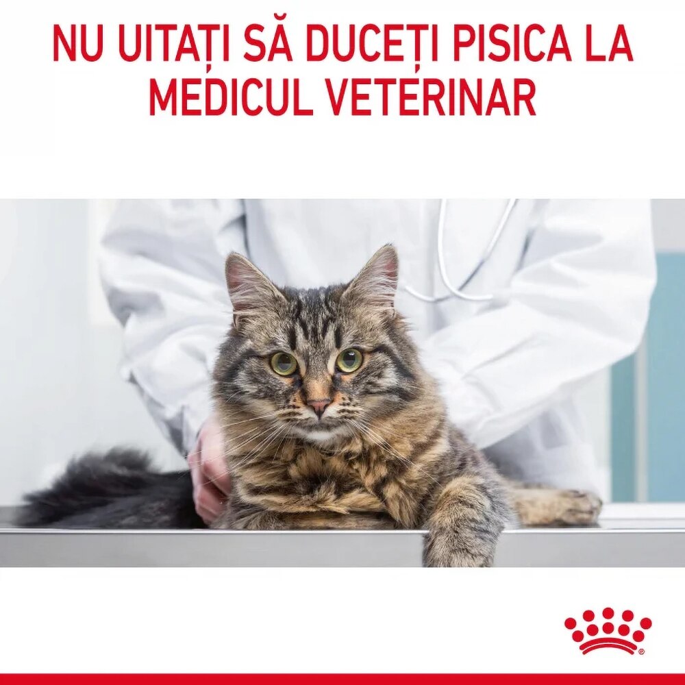 Hrana uscata pentru pisici ROYAL CANIN FCN Hair Skin Care, Adult, Pasare, 2 kg