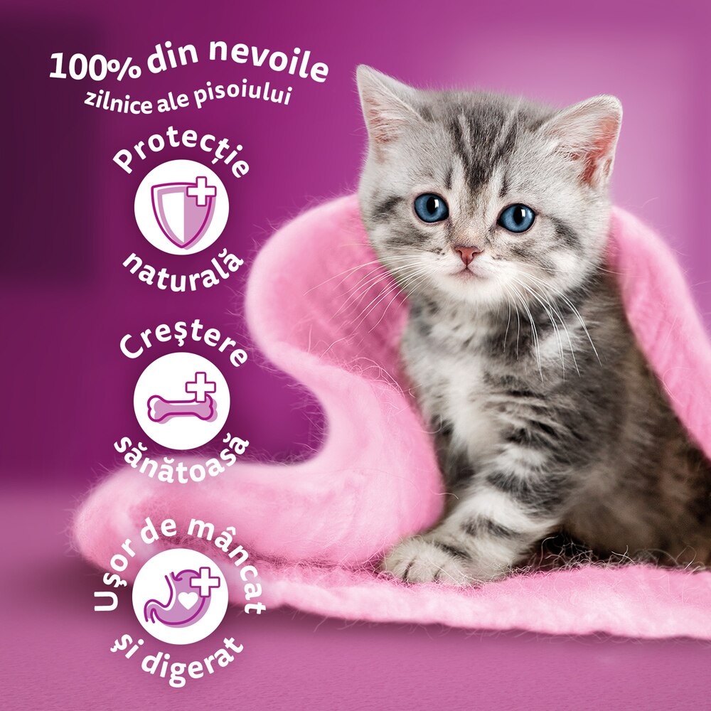 Hrana uscata pentru pisici WHISKAS, Junior, Pui, 1.4 kg