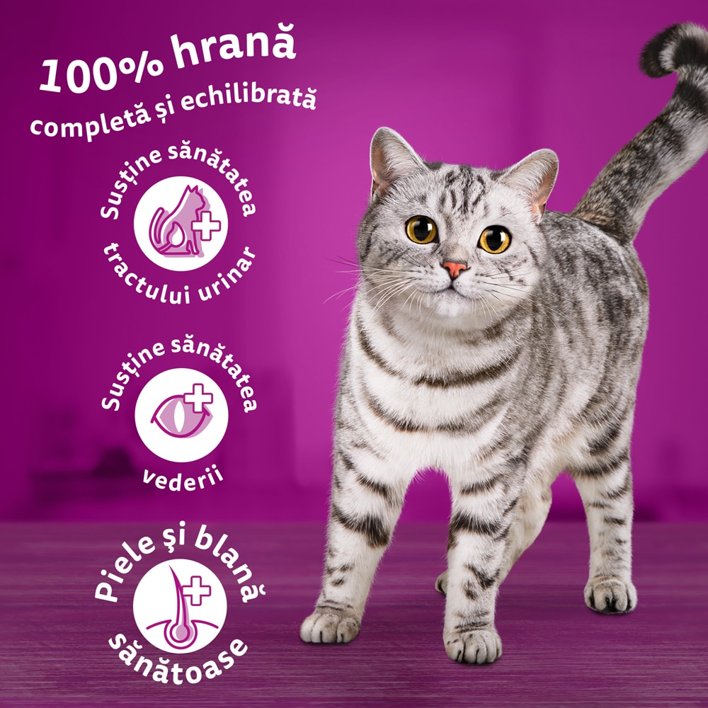 Hrana uscata pentru pisici WHISKAS, Adult, Pui, 14 kg