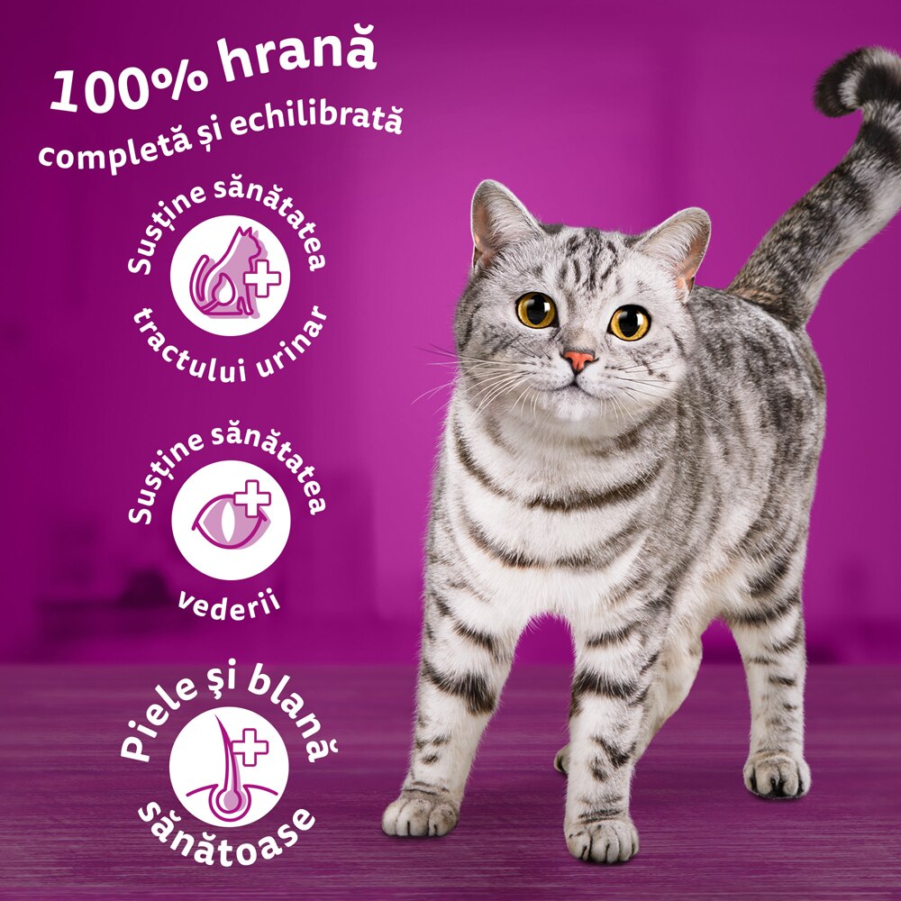Hrana uscata pentru pisici WHISKAS, Adult, Ton, 14 kg