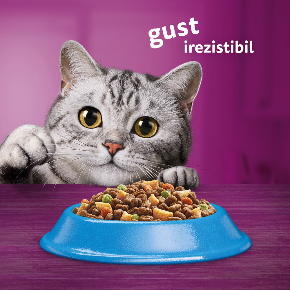 Hrana uscata pentru pisici WHISKAS, Adult, Ton, 14 kg