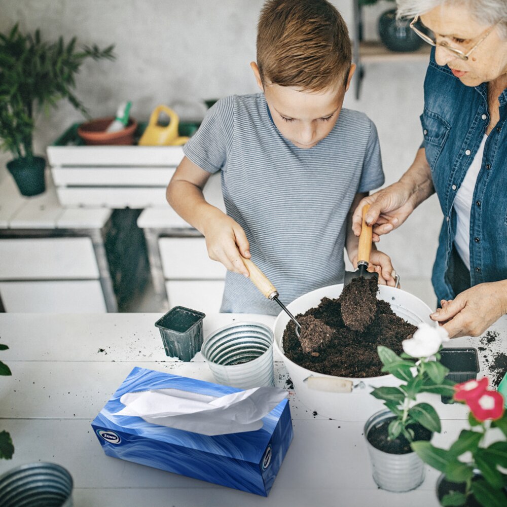 Servetele faciale ZEWA Deluxe Design, 3 straturi, 90 bucati, bax 18 cutii