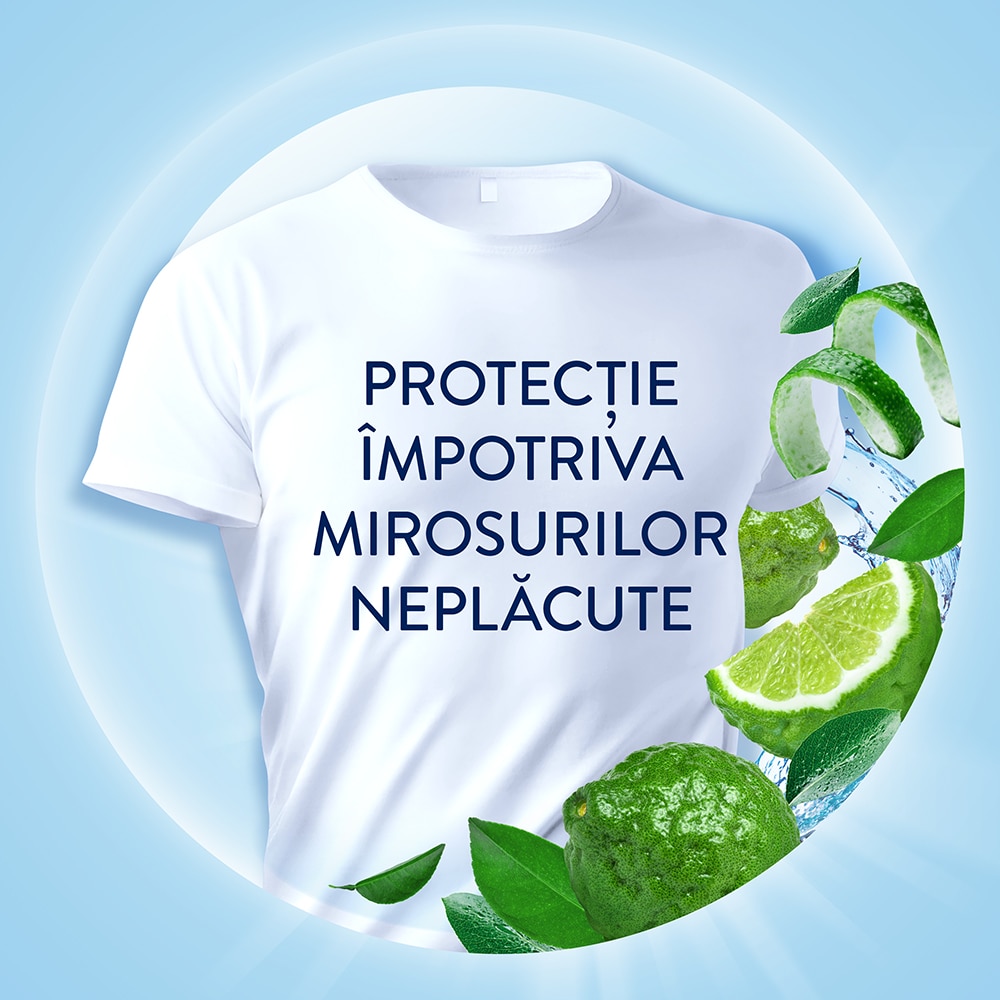 Balsam de rufe LENOR Fresh Meadow, 1.491 l, 71 spalari