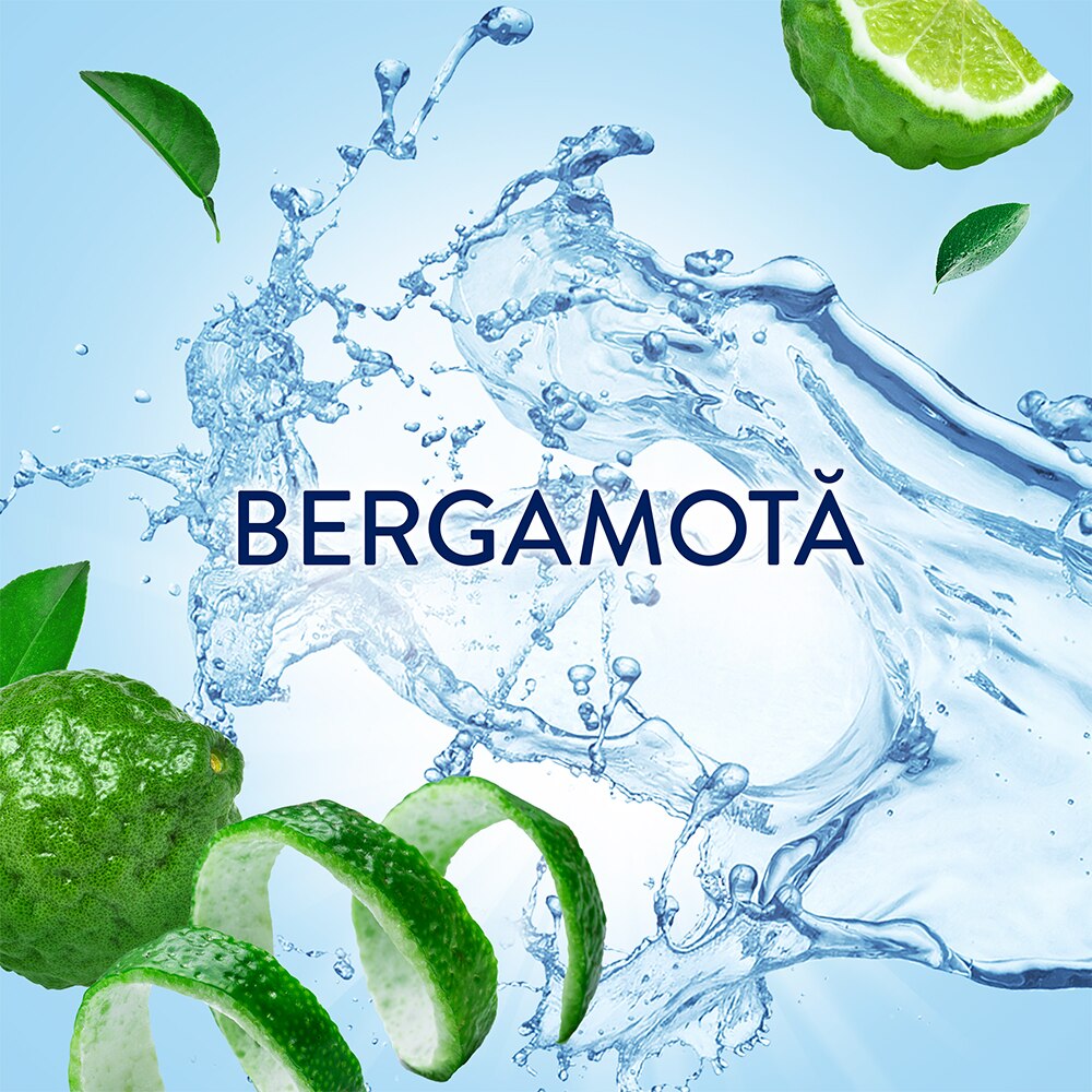 Balsam de rufe LENOR Fresh Meadow, 1.491 l, 71 spalari