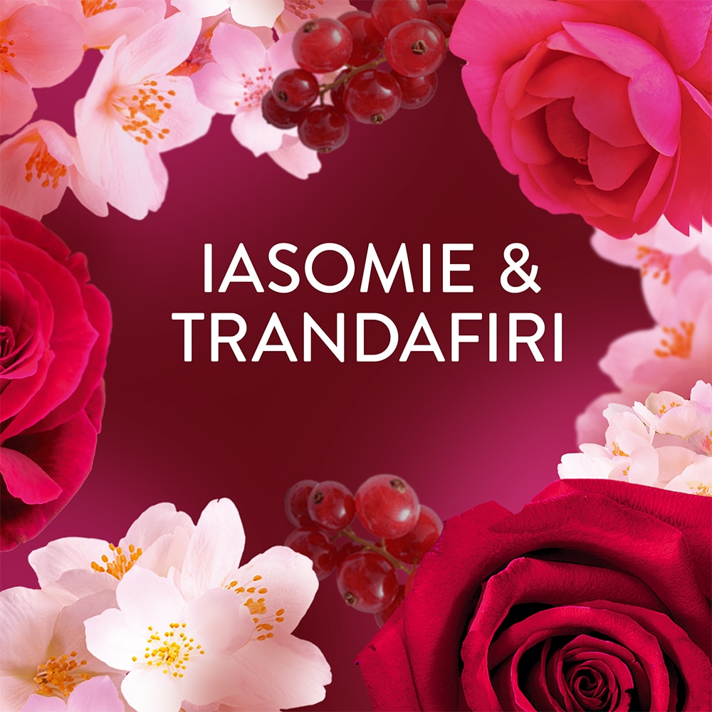 Balsam de rufe LENOR Jasmine & Rose, 1.239 l, 59 spalari