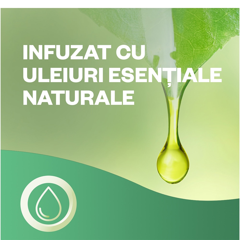 Rezerva odorizant de camera spray automat fara aerosoli AIR WICK Naturmatic, Zmeura si Lamaie verde, 228 ml