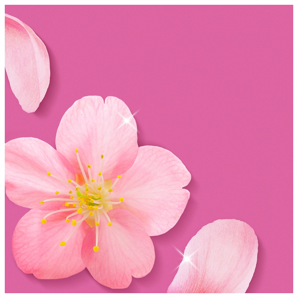 Detergent universal pentru suprafete MR. PROPER Flower&Spring, 1l