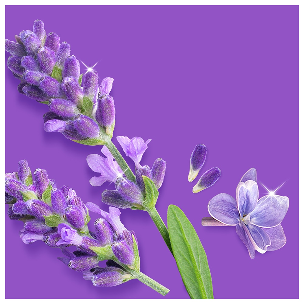 Detergent universal pentru suprafete MR. PROPER Lavanda, 1l