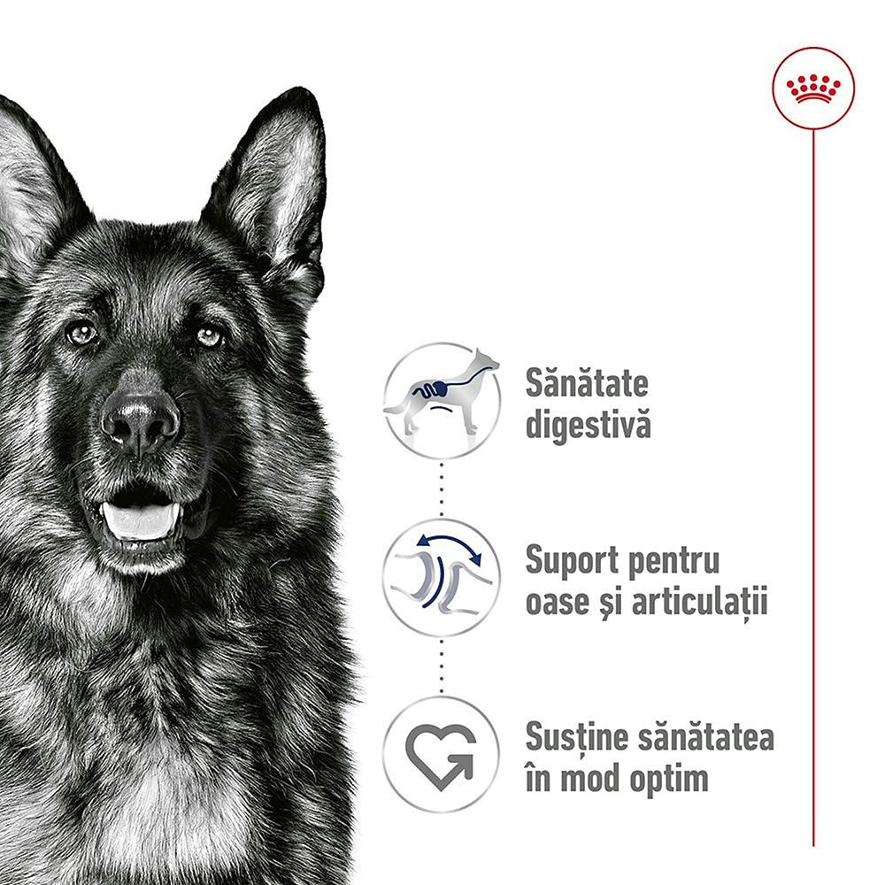 Hrana uscata pentru caini ROYAL CANIN SHN Maxi, Adult, Pasare, 15 kg
