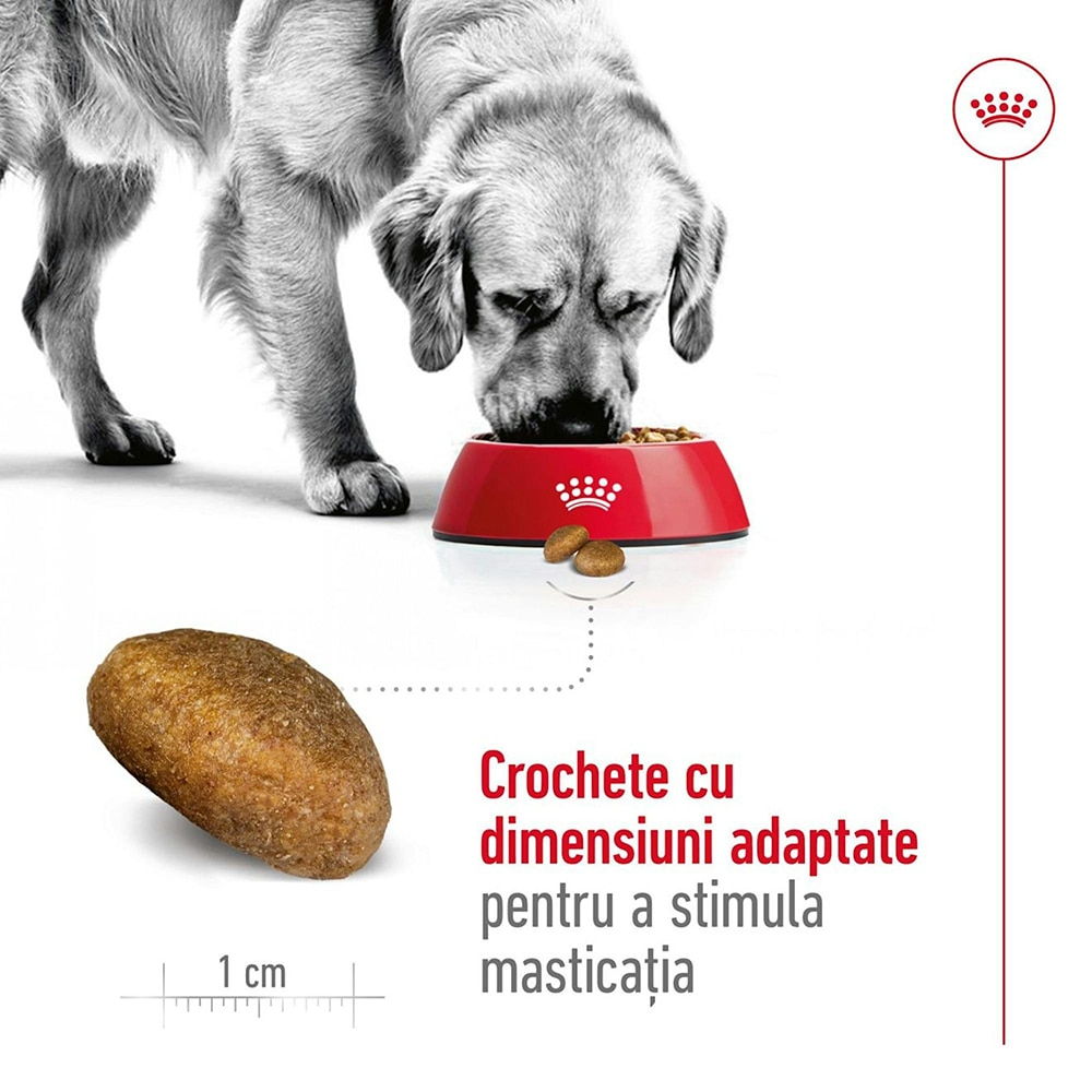 Hrana uscata pentru caini ROYAL CANIN SHN Maxi, Adult, Pasare, 15 kg