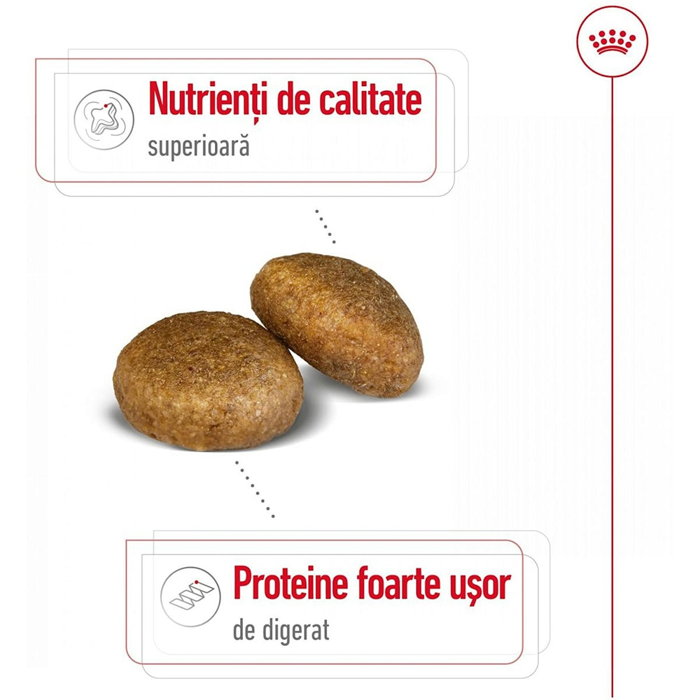 Hrana uscata pentru caini ROYAL CANIN SHN Maxi, Adult, Pasare, 15 kg