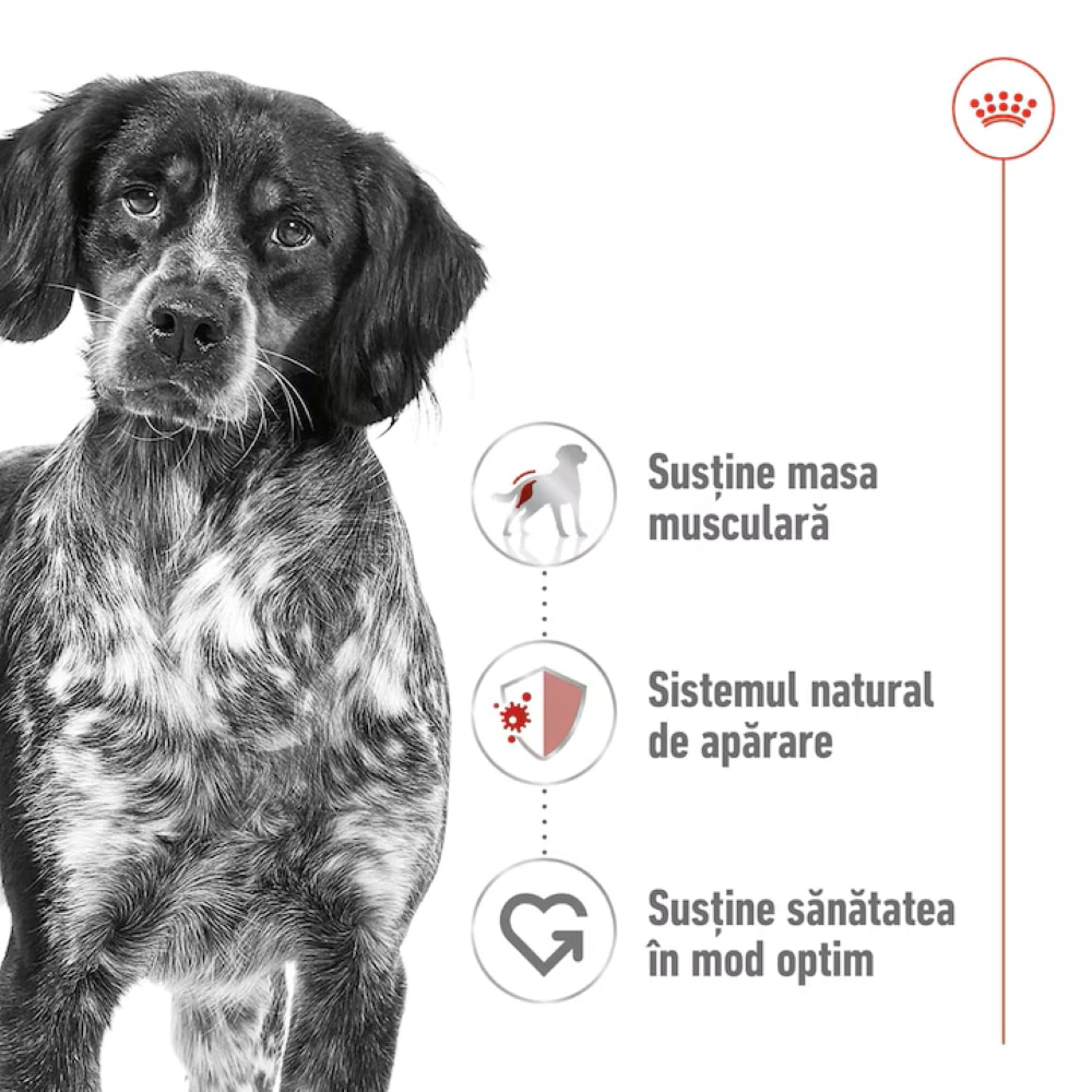 Hrana uscata pentru caini ROYAL CANIN SHN Medium, Adult, Pasare, 15 kg