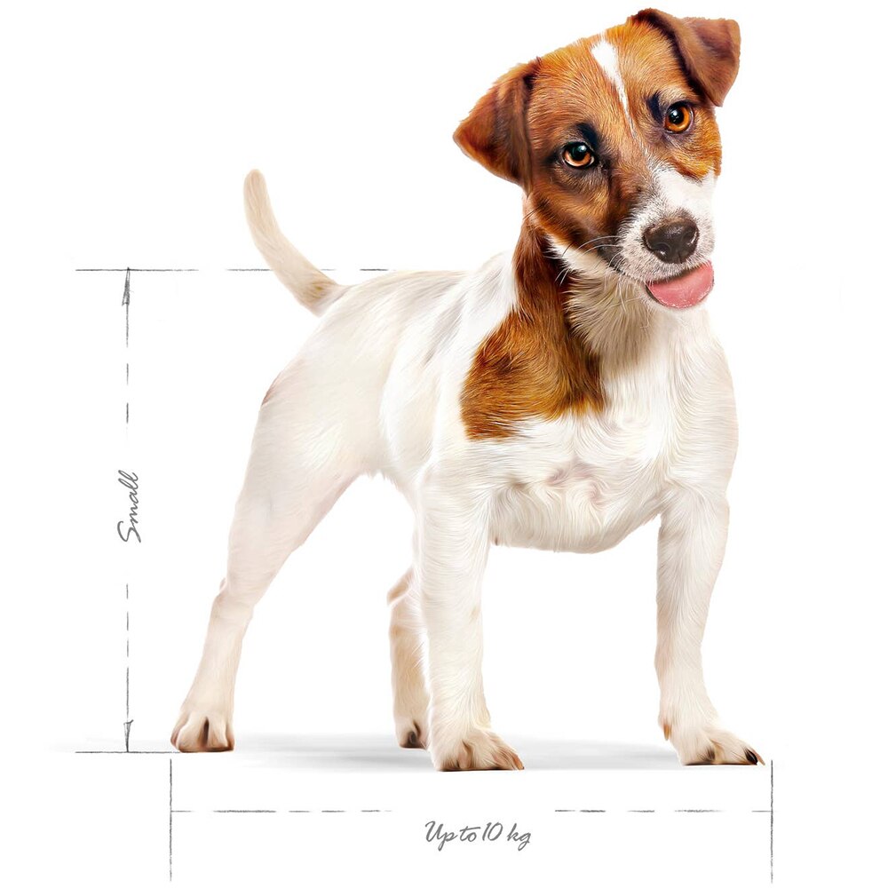 Hrana uscata pentru caini ROYAL CANIN SHN Mini, Adult, Pasare, 2 kg