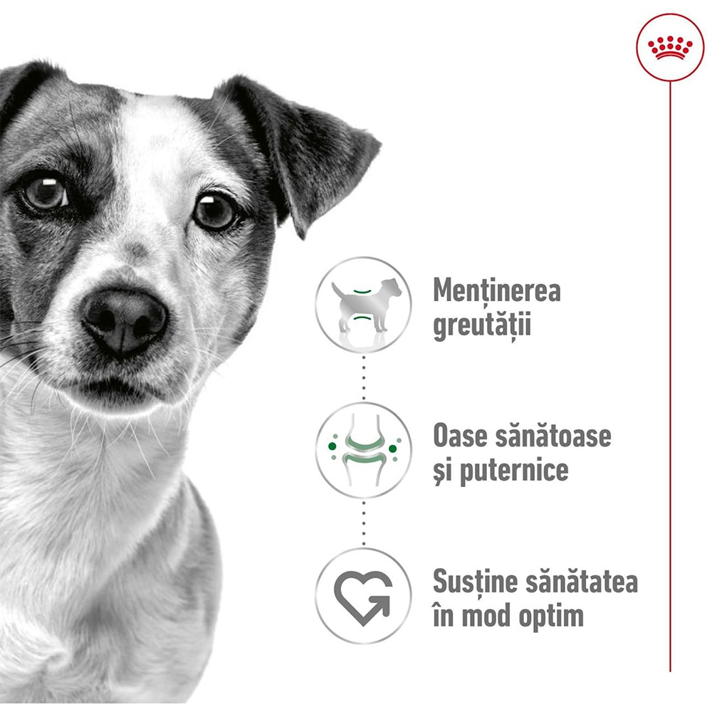 Hrana uscata pentru caini ROYAL CANIN SHN Mini, Adult, Pasare, 4 kg