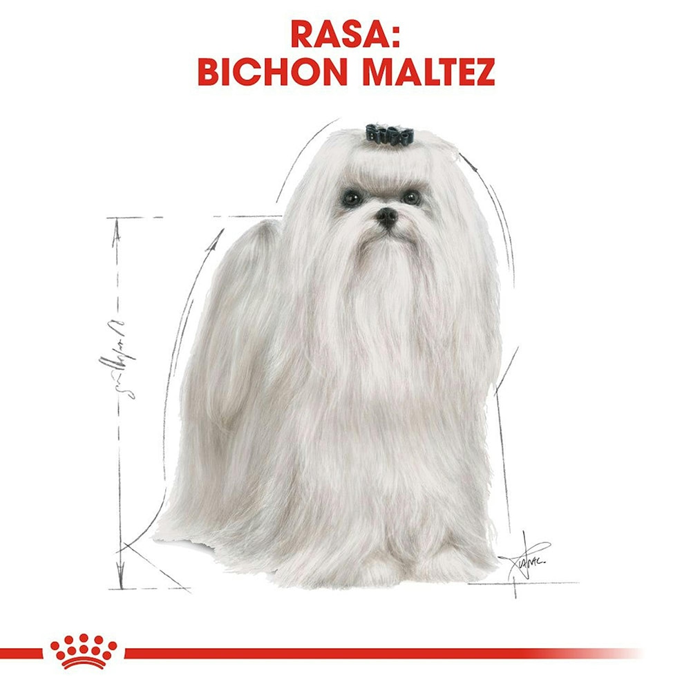 Hrana uscata pentru caini ROYAL CANIN Bichon Maltez, Adult, Pasare, 1.5 kg
