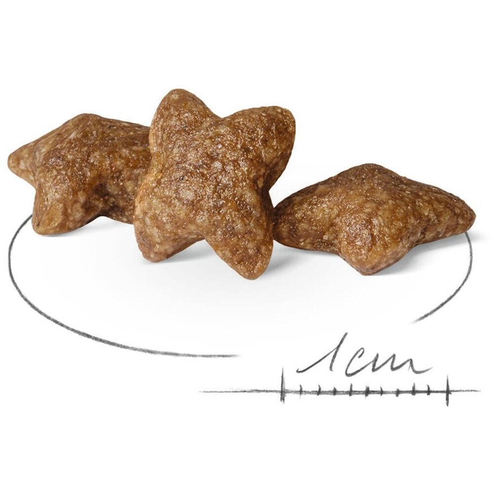 Hrana uscata pentru caini ROYAL CANIN SHN Mini, Adult, Pasare, 8 kg