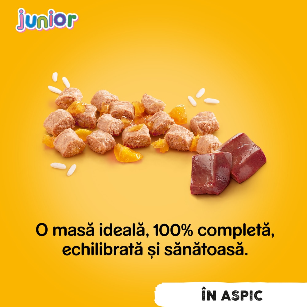 Hrana umeda pentru caini PEDIGREE, Junior, Pui in aspic, 24 x 400g