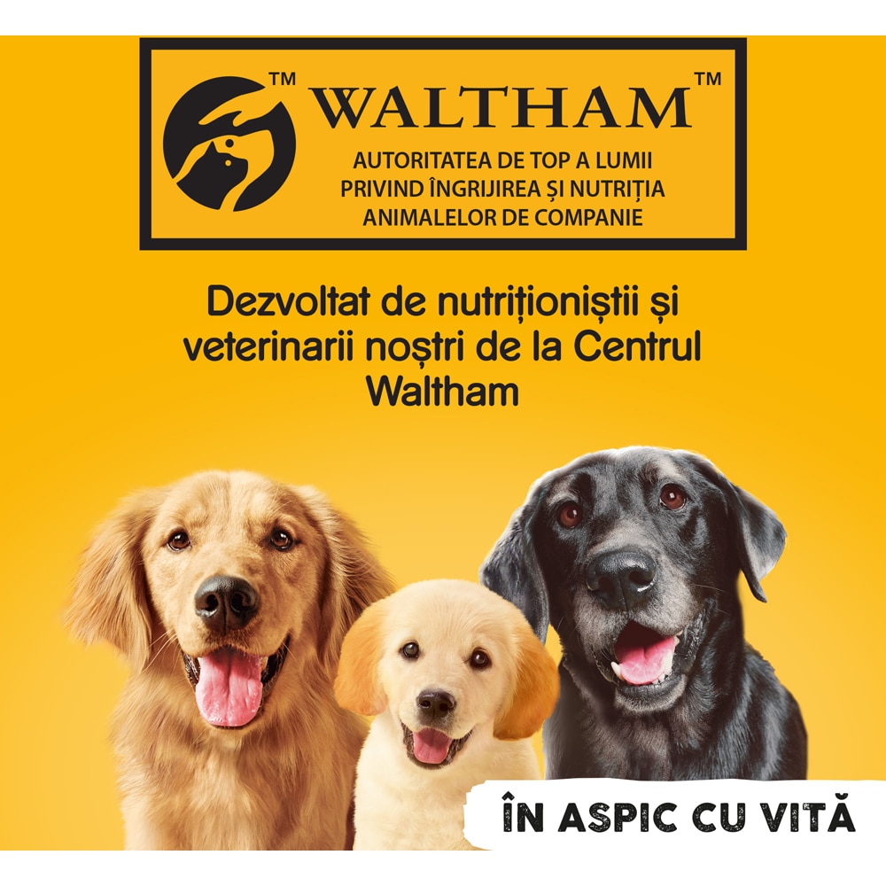 Hrana umeda pentru caini PEDIGREE, Adult, Vita in aspic, 24 x 400g