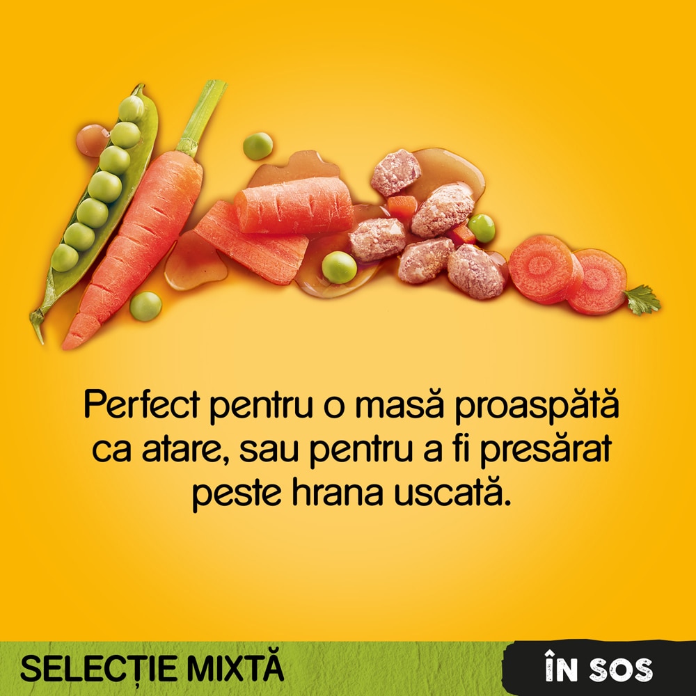 Hrana umeda pentru caini PEDIGREE, Adult, Megapack, 40 x 100g