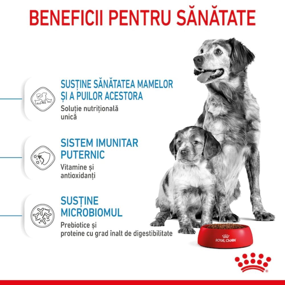 Hrana uscata pentru caini ROYAL CANIN SHN Medium, Junior, Pasare, 4 kg