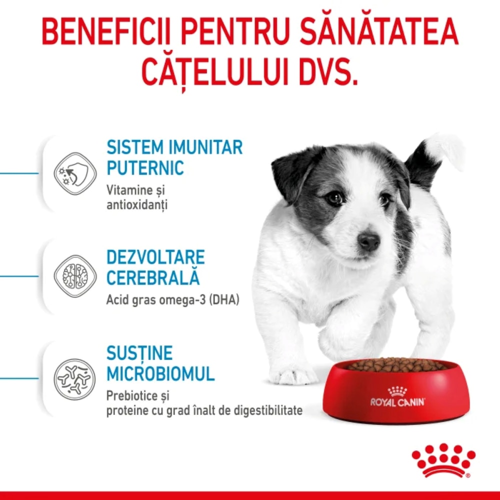 Hrana uscata pentru caini ROYAL CANIN SHN Mini, Junior, Pasare, 2 kg