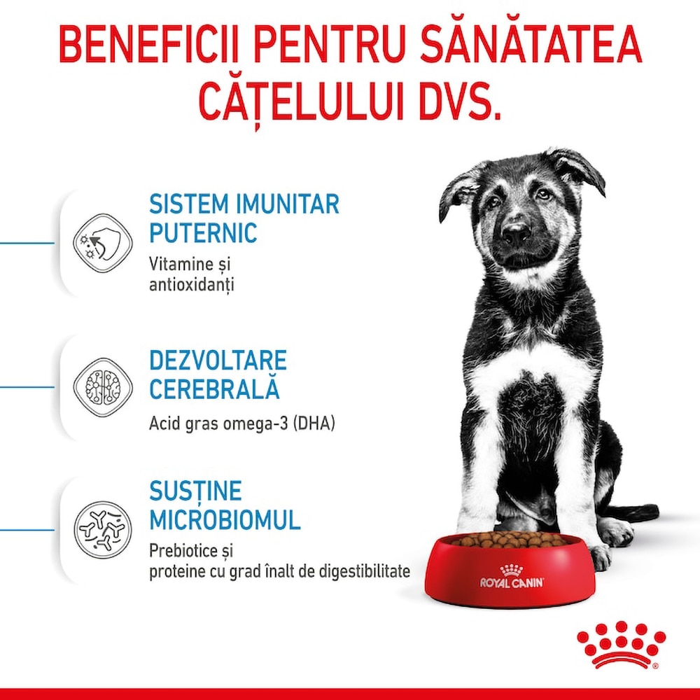 Hrana uscata pentru caini ROYAL CANIN SHN Maxi, Junior, Pasare, 15 kg