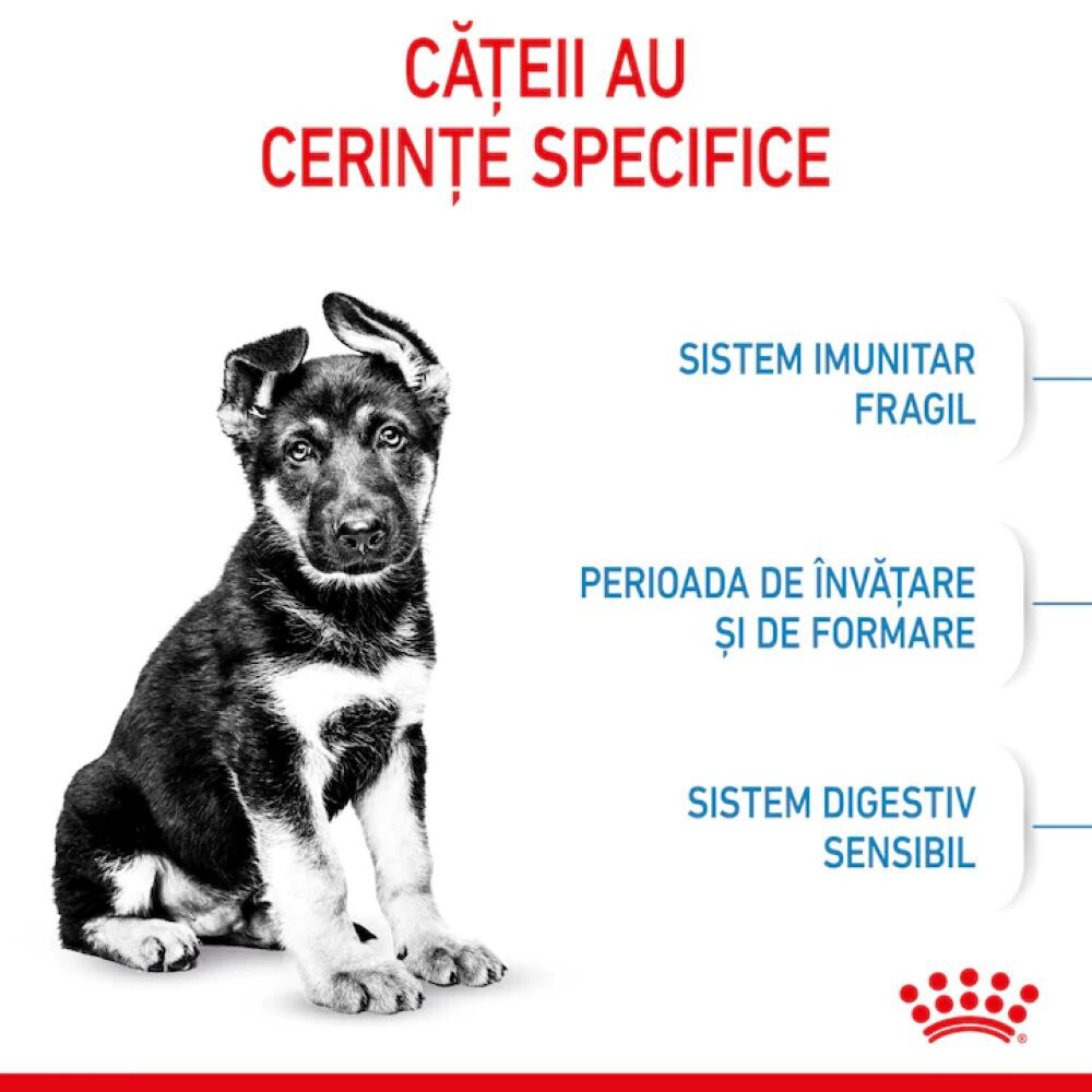 Hrana uscata pentru caini ROYAL CANIN SHN Maxi, Junior, Pasare, 15 kg