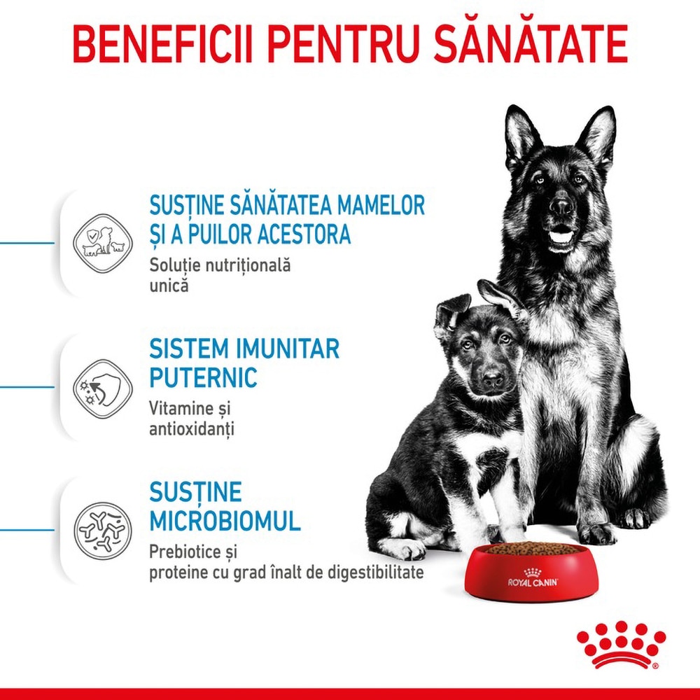 Hrana uscata pentru caini ROYAL CANIN SHN Maxi, Junior, Pasare, 4 kg