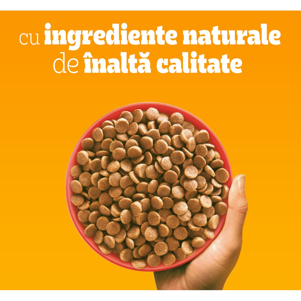 Hrana uscata pentru caini PEDIGREE Mini, Adult, Vita si legume, 12 kg