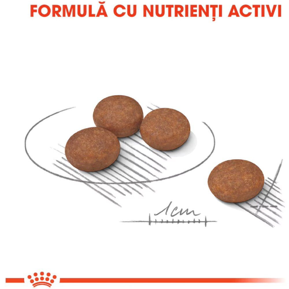 Hrana uscata pentru caini ROYAL CANIN CCN Mini Digestive Care, Adult, Pasare, 3 kg