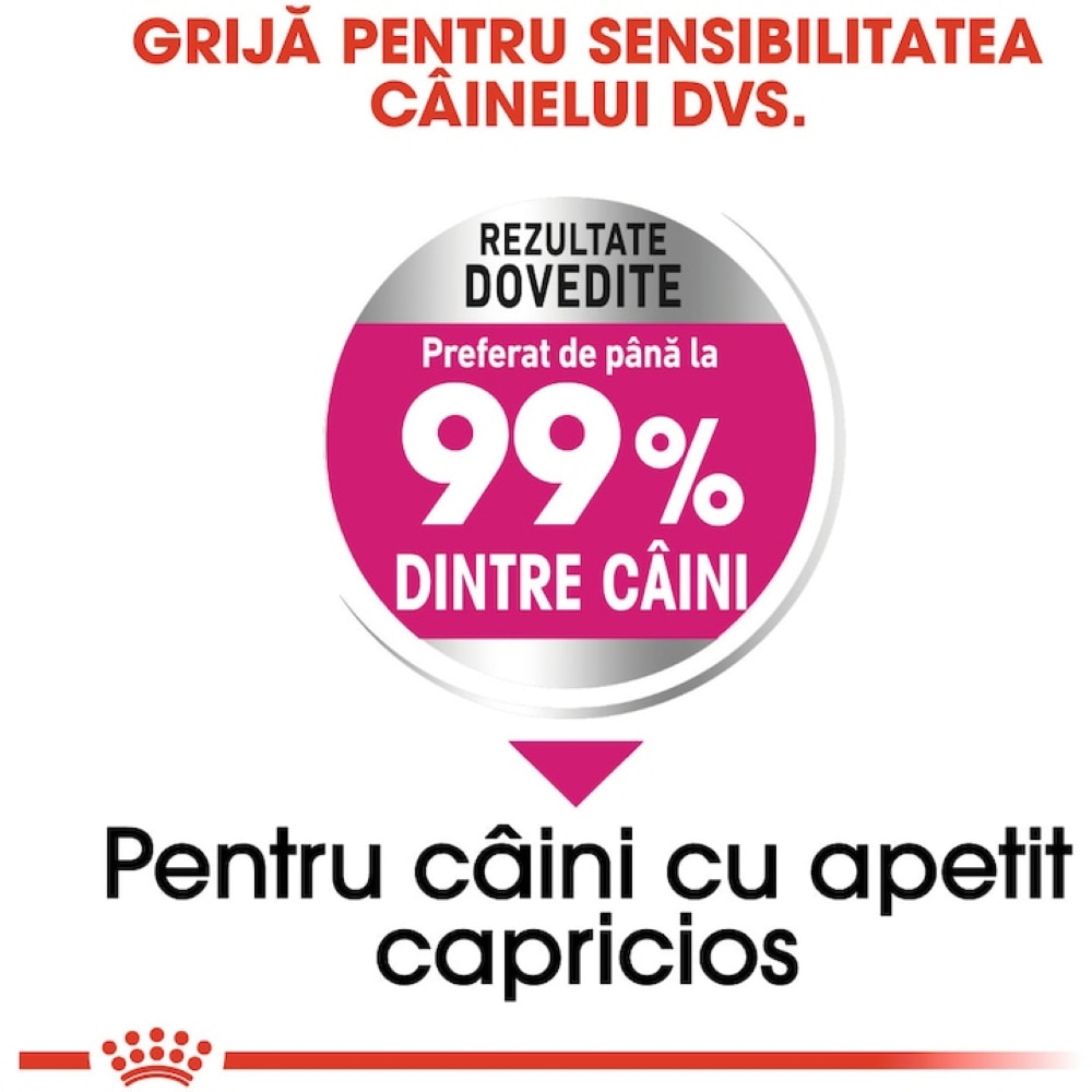 Hrana uscata pentru caini ROYAL CANIN CCN Mini Exigent, Adult, Pasare, 3 kg