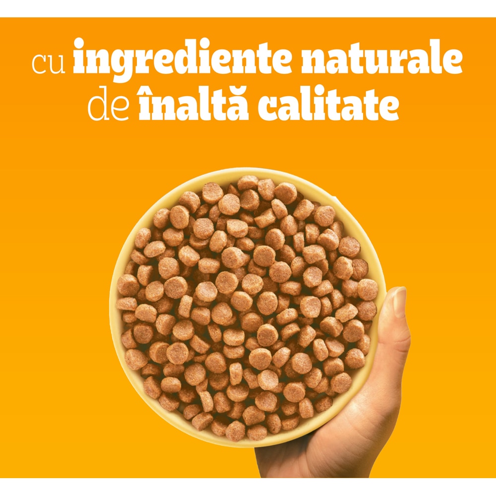 Hrana uscata pentru caini PEDIGREE, Junior, Pasare si legume, 12 kg