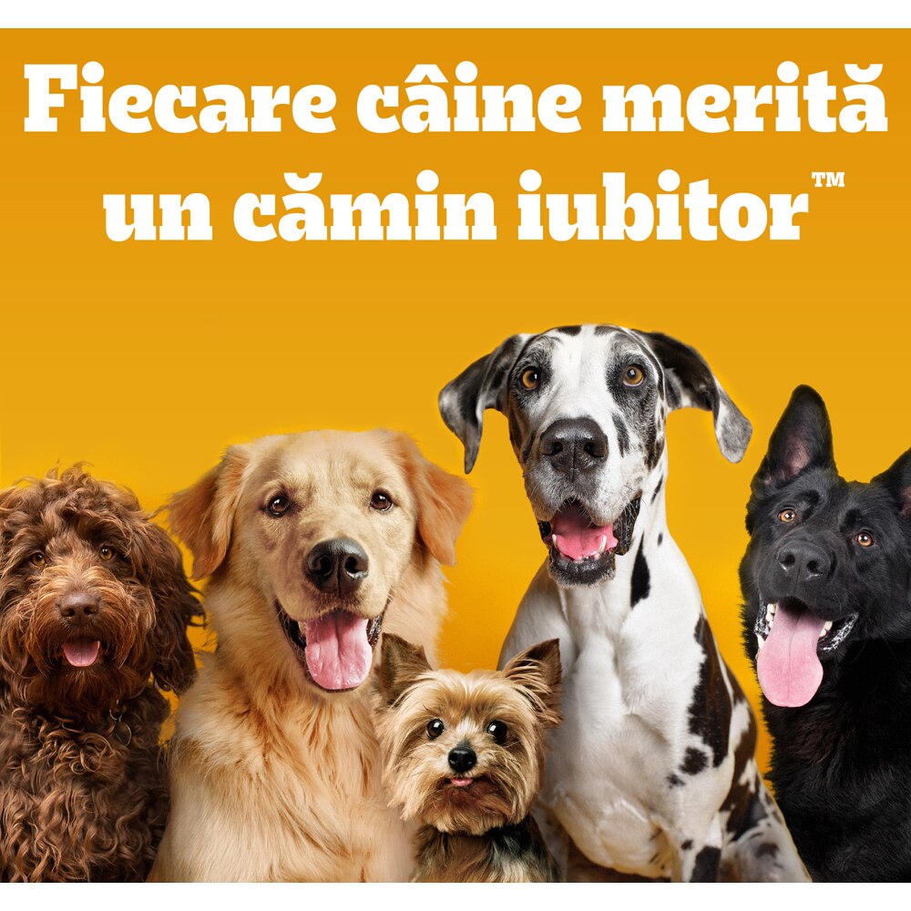 Hrana uscata pentru caini PEDIGREE, Adult, Vita si legume, 12 kg