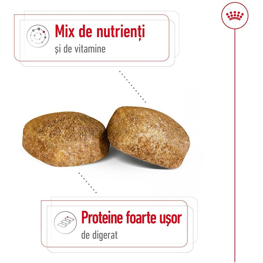 Hrana uscata pentru caini ROYAL CANIN SHN Giant, Adult, Pasare, 15 kg