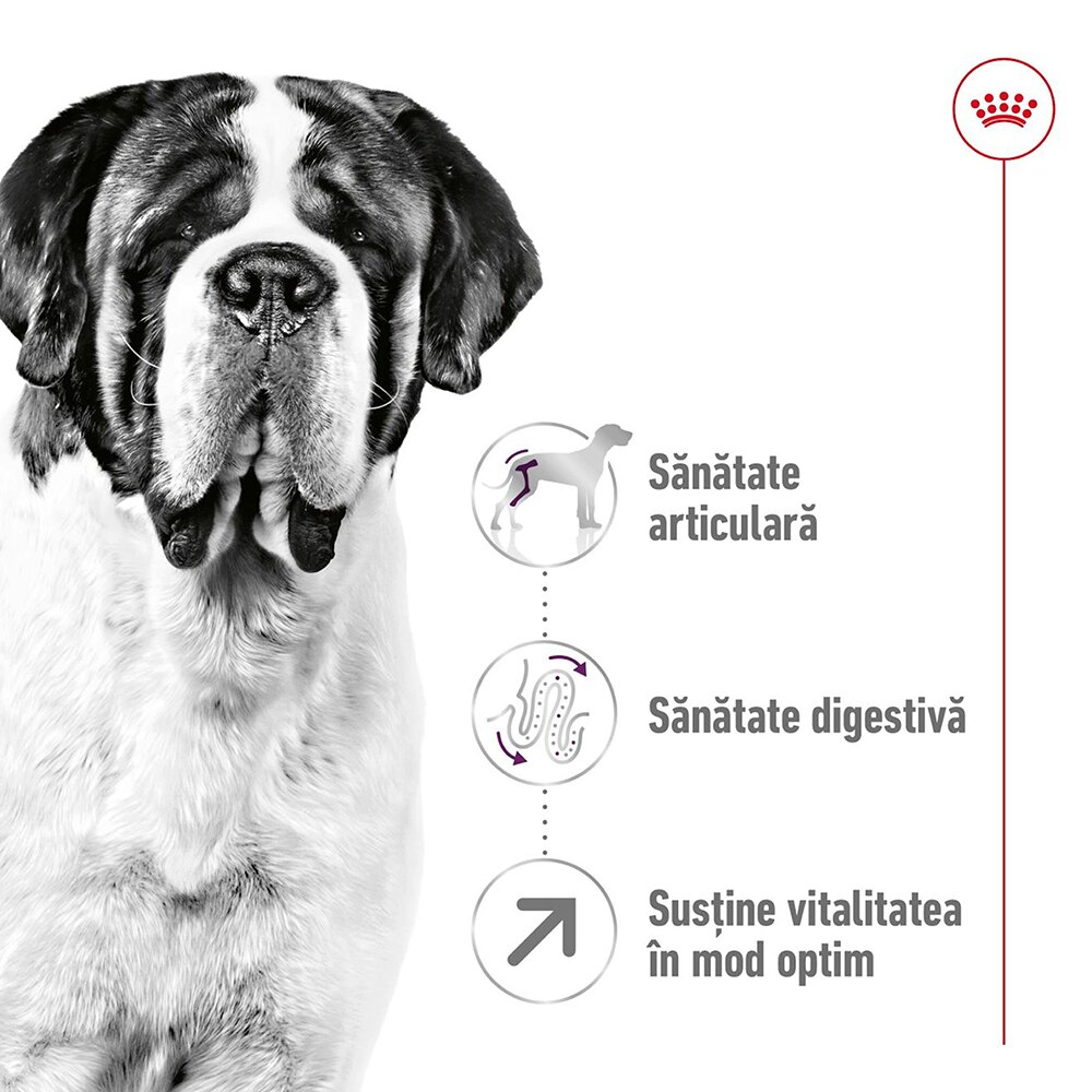 Hrana uscata pentru caini ROYAL CANIN SHN Giant, Adult, Pasare, 15 kg